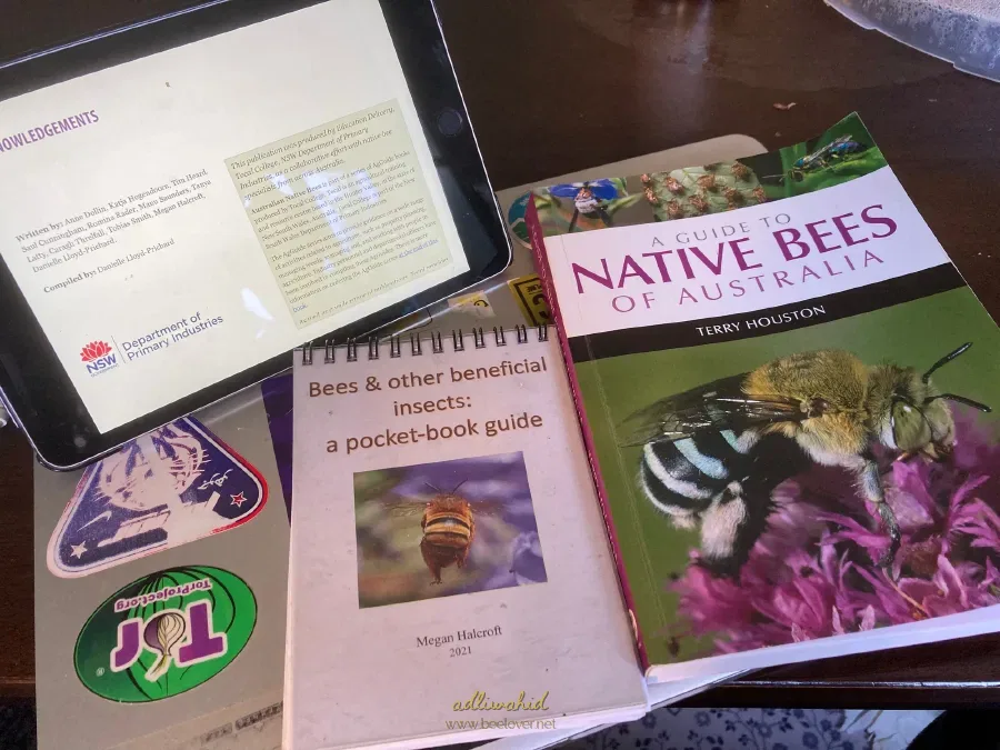 Books and Resources That Helped Me
